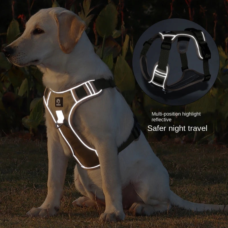 Dapper Pet: Adjustable Reflective Harness