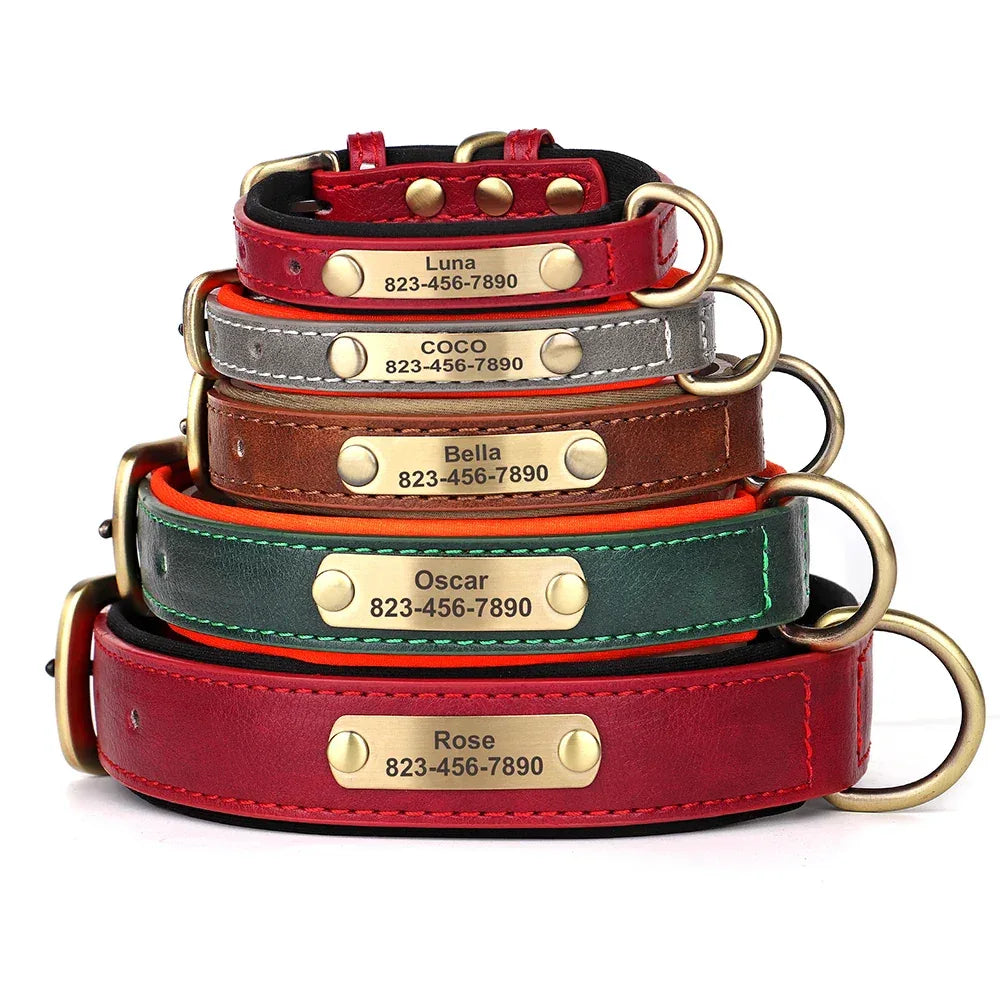 Personalized Dog Collar - Soft Fabric with Metal Buckle, Adjustable, Engraved ID Tag & Comfort - The Palm Beach Baby