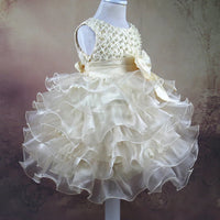 Magdeline Elegant Beaded Special Occasion Dress with Bow - 4 Color Options