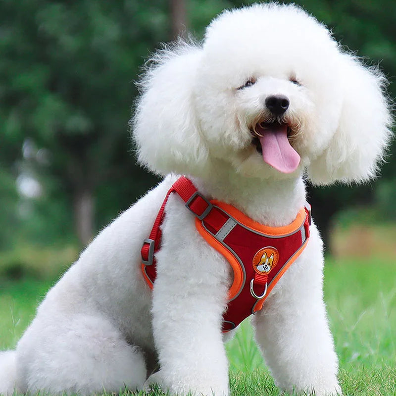 Colorful Reflective Pet Harness