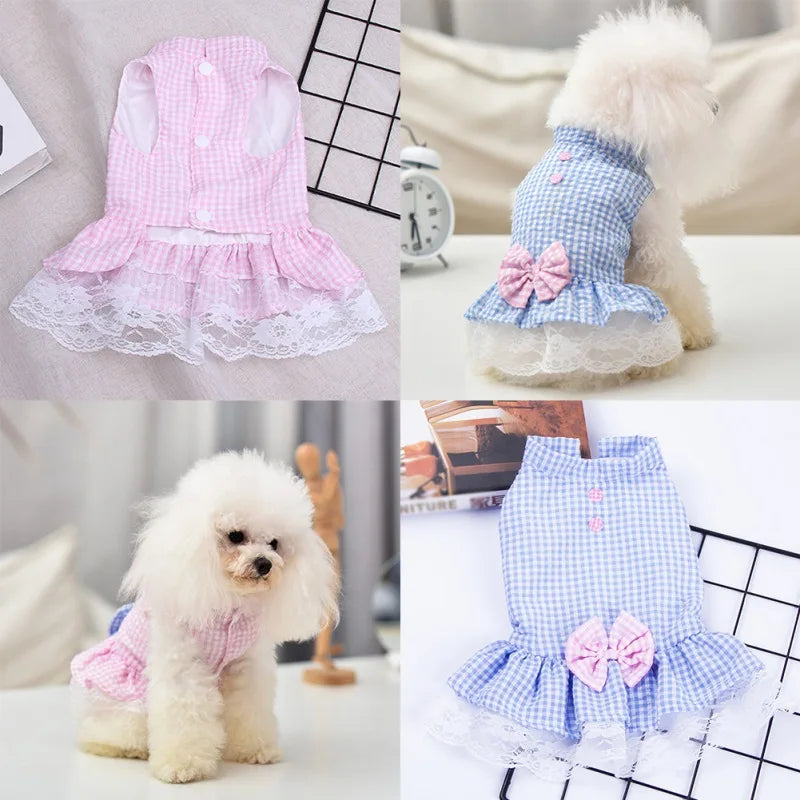 DIVA Pet - "Summer Baby" Pet Dress - 2 Colors
