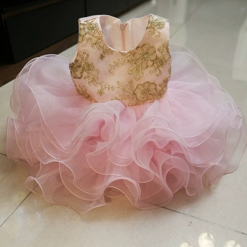 Carlena Tiered Tulle Party Dress for Girls 6M-6Y in Princess Pink featuring a tiered tulle skirt with gold embroidery, perfect for special occasions as a pink girls party dress.