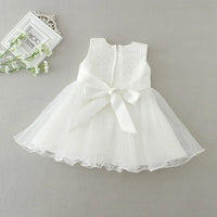 White baby lace special occasion dress with sleeveless bodice and tulle skirt for infants