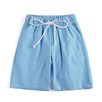 boys classic check bathing suit - Blue Checkered Swim Shorts - The Palm Beach Baby