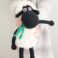 Shelly the sheep
