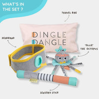 Dingle Dangle Baby USA Diaper Changing Distractor for Babies - The Palm Beach Baby