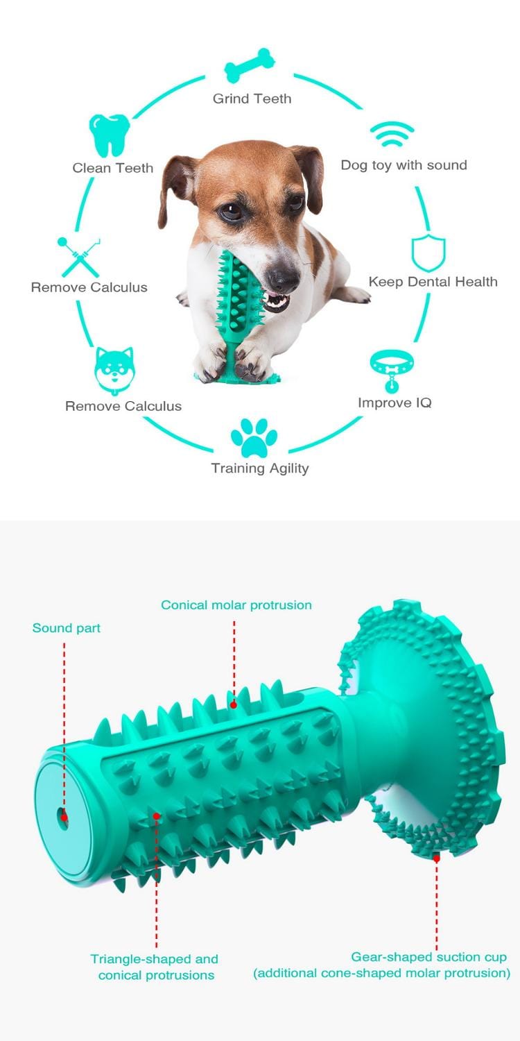 pet toy Durable Cactus Pet Chew Toy And Tooth Cleaner -The Palm Beach Baby
