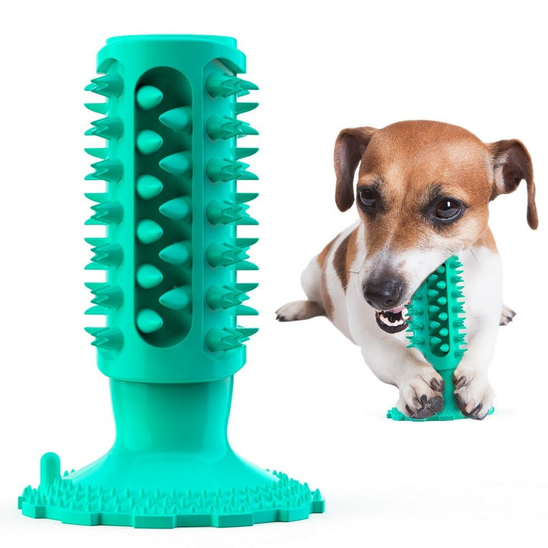 pet toy Durable Cactus Pet Chew Toy And Tooth Cleaner -The Palm Beach Baby