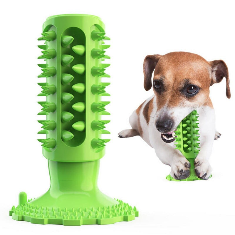 pet toy GREEN / one size Durable Cactus Pet Chew Toy And Tooth Cleaner -The Palm Beach Baby