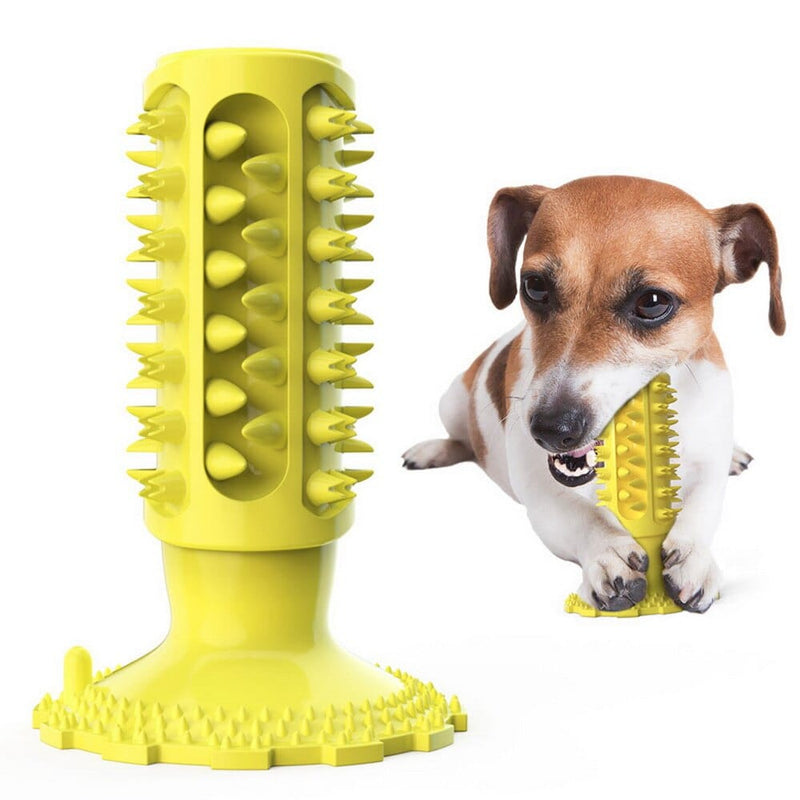 pet toy YELLOW / one size Durable Cactus Pet Chew Toy And Tooth Cleaner -The Palm Beach Baby