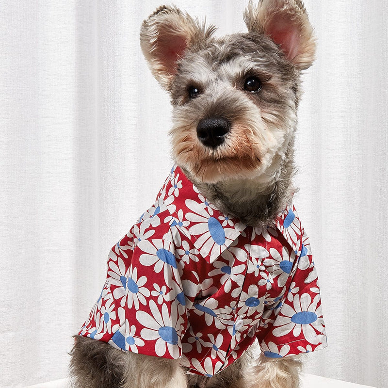pet clothes Red / XS DAPPER Pet Colorful Print Shirt -The Palm Beach Baby