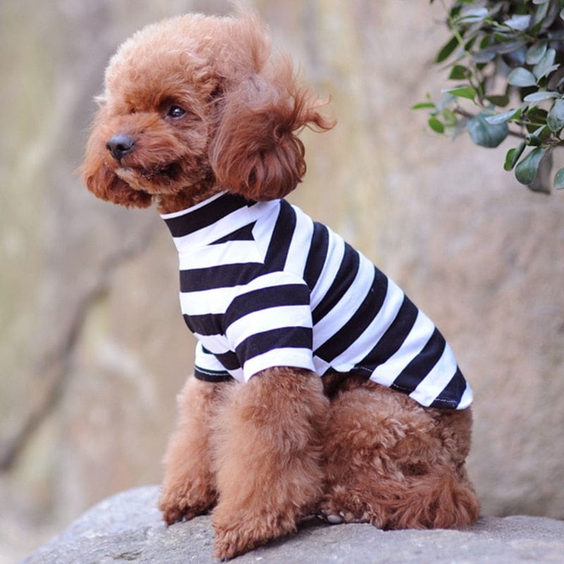 Pet Clothing "Stripe Cutie" Turtleneck Pet Shirt - 4 Colors -The Palm Beach Baby