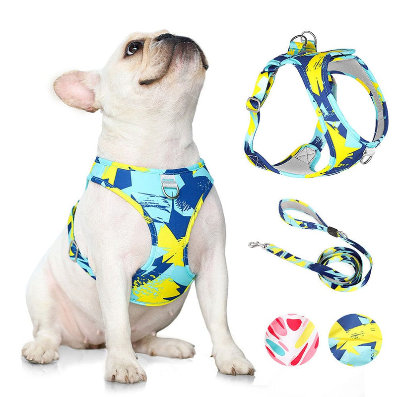 pet harness and leash Fun Tropical Harness and Matching Leash -The Palm Beach Baby
