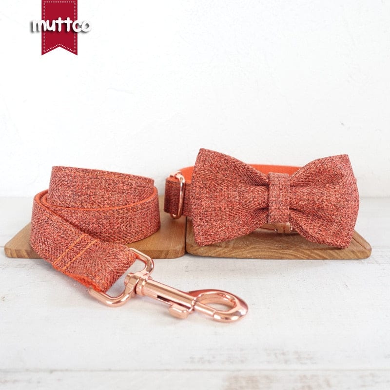 pet collar and leash DAPPER Pet Orange Bowtie Collar And Leash -The Palm Beach Baby