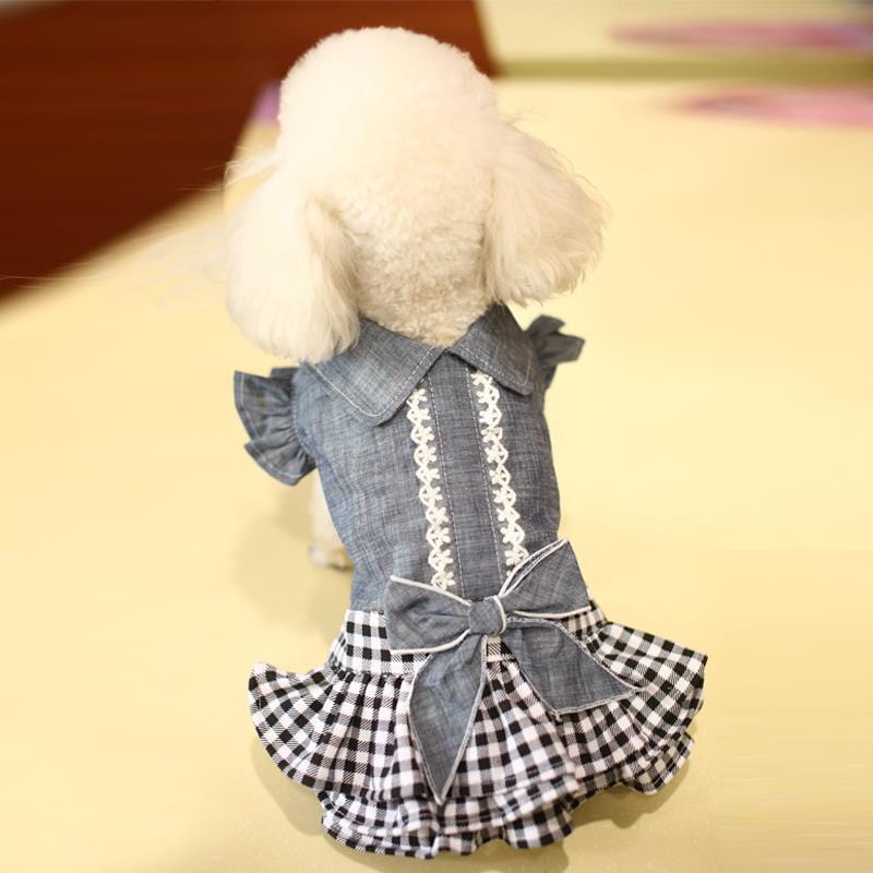 Pet dress Black and white grid / XS DIVA Pet -  Spring/Summer Blue Gingham Dress -The Palm Beach Baby