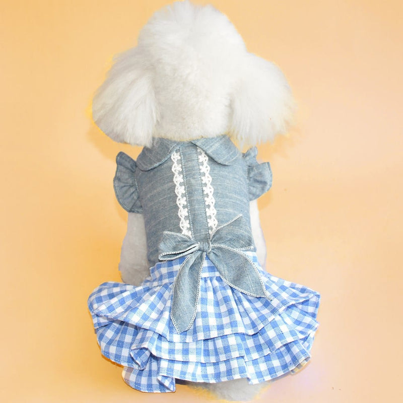 Pet dress Blue and white grid / XS DIVA Pet -  Spring/Summer Blue Gingham Dress -The Palm Beach Baby