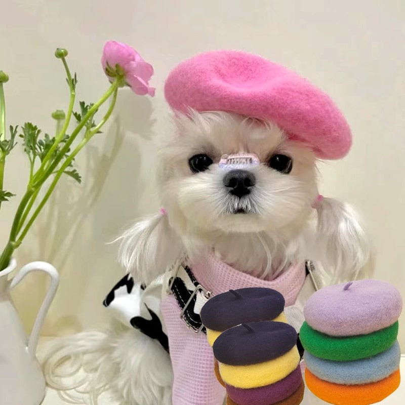 pet accessory DIVA Pet - Chic Pet Beret in 9 Colors -The Palm Beach Baby