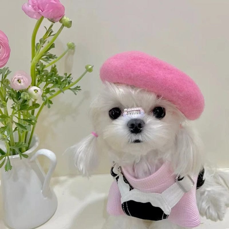 pet accessory DIVA Pet - Chic Pet Beret in 9 Colors -The Palm Beach Baby