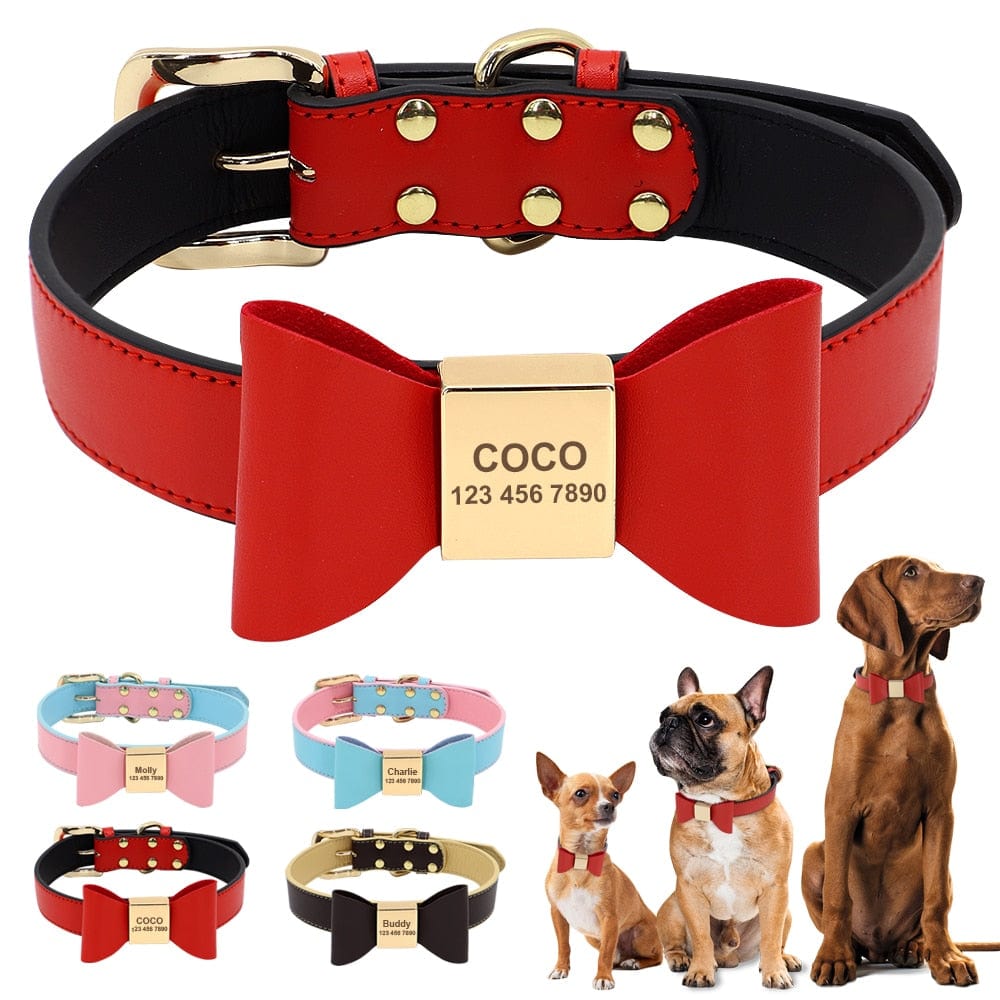 pet collar DAPPER Pet - Bow Tie Collar - 4 Colors -The Palm Beach Baby
