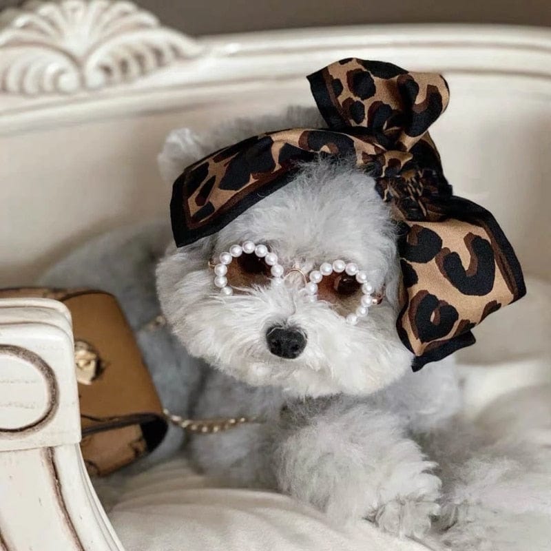 pet sunglasses 8cm DIVA Pet - Elegant Poochie Pearl Sunglasses -The Palm Beach Baby