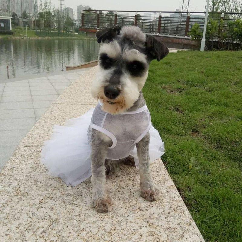 DIVA Pet: "Vana" Sequined Pet Tutu Dress - White Tulle - The Palm Beach Baby