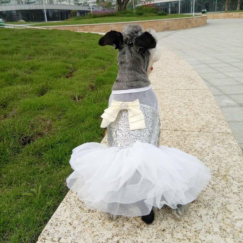 DIVA Pet: "Vana" Sequined Pet Tutu Dress - White Tulle - The Palm Beach Baby