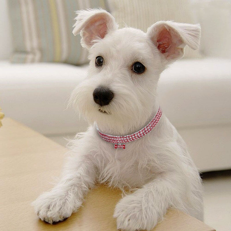 pet collar "Diva Pet" Elegant Crystal Collar - 4 Colors -The Palm Beach Baby