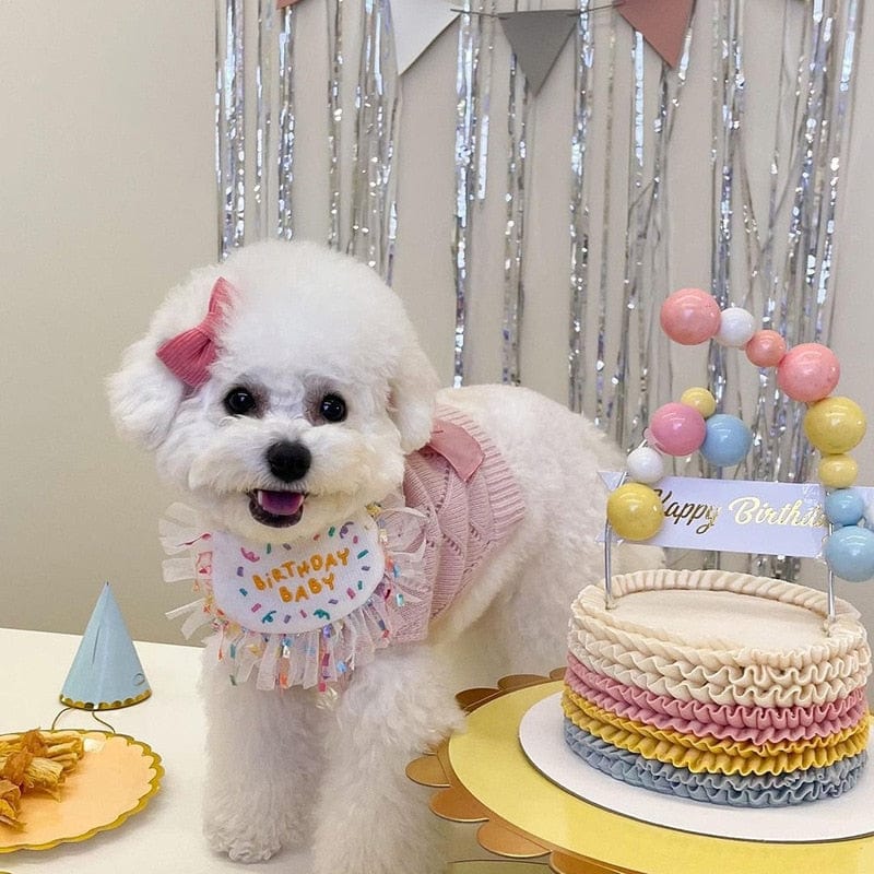 $3 Shipping DIVA Pet "Birthday Paws" Birthday Pet Set -The Palm Beach Baby