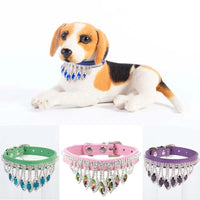 DIVA Pet - Princess Pet Crystal Necklace Collar - 4 Luxurious Color - The Palm Beach Baby