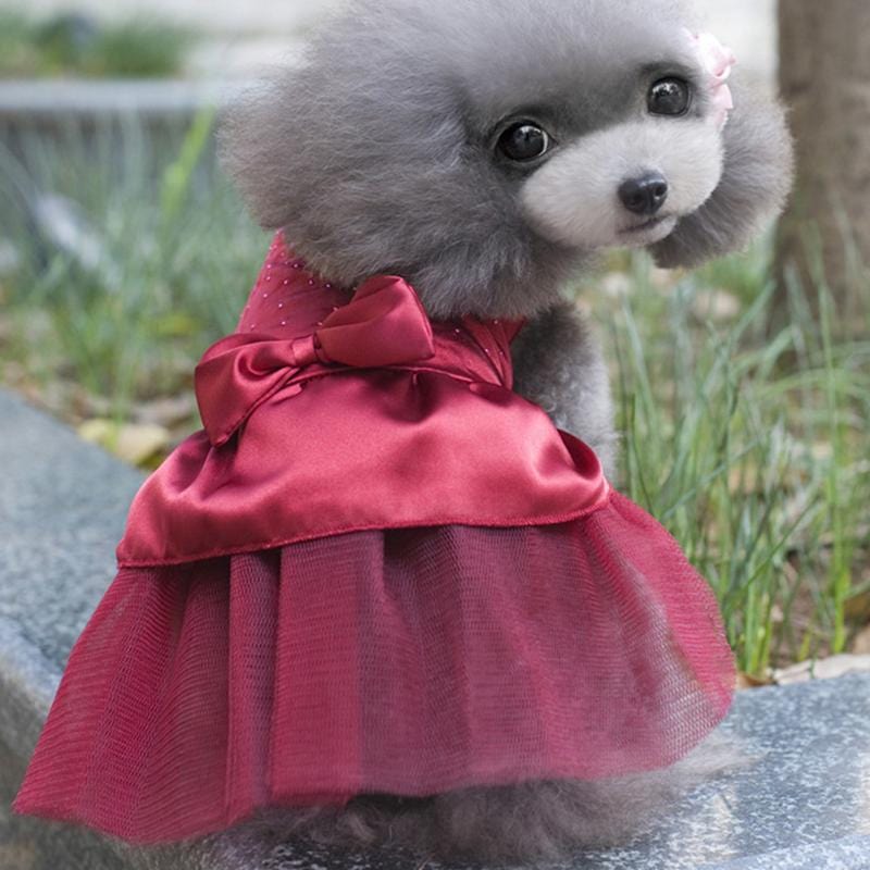 pet clothes "Princess Sweet" Rhinestome Party Dress -The Palm Beach Baby