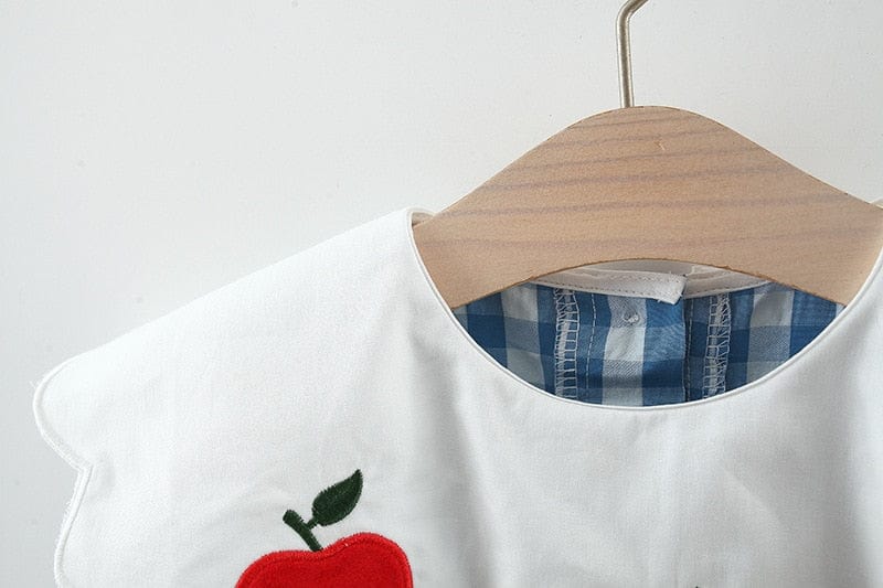White girls seersucker apple dress with red apple embroidery and blue checkered lining for toddlers
