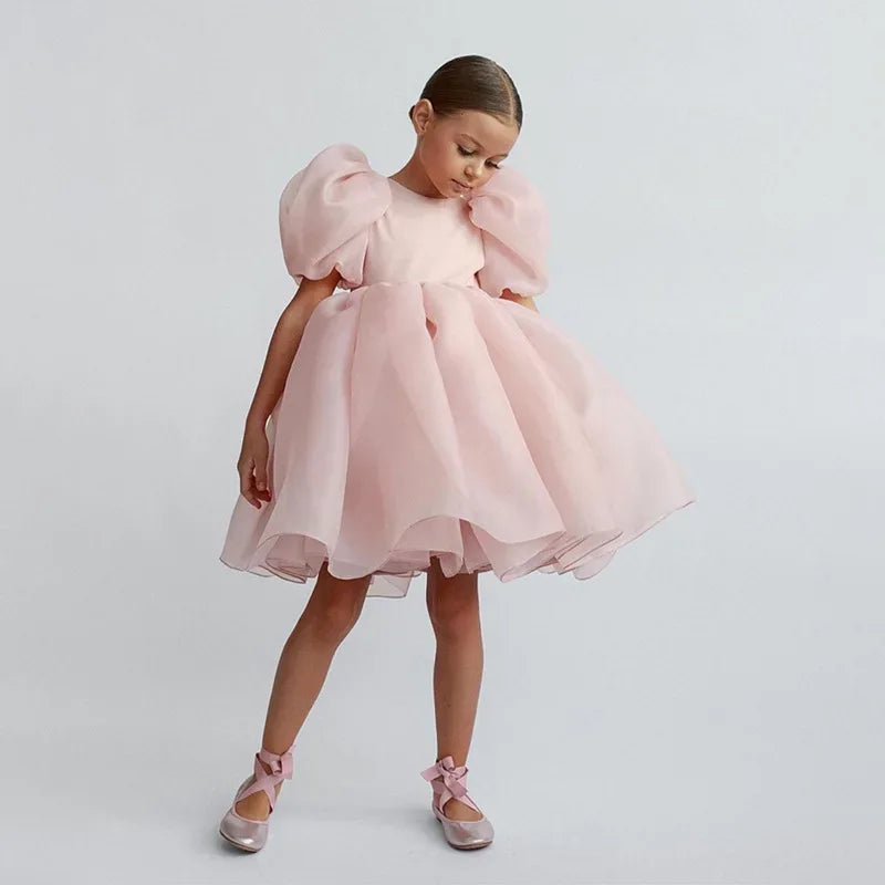 girls special occasion dress in light pink with puff sleeves and full skirt for young kids