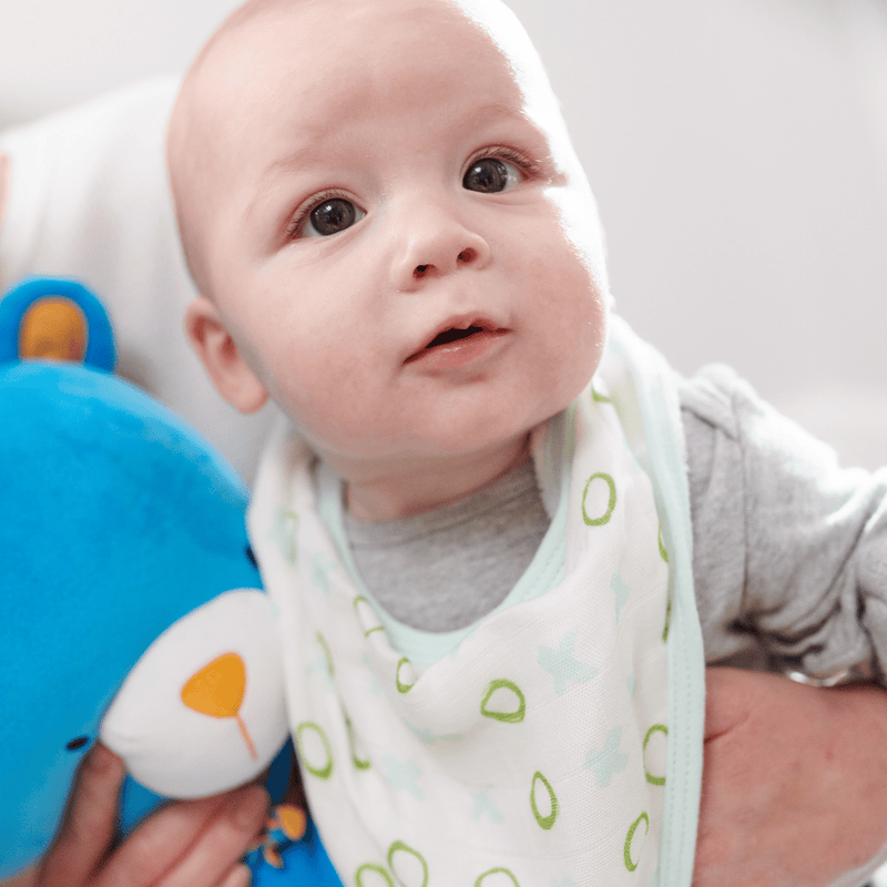A baby wearing the Peas and XO Mint 2 Pack Muslin & Terry Cloth Bib Set, holding a blue plush toy, showcasing the adorable mint-colored design with x and o patterns.