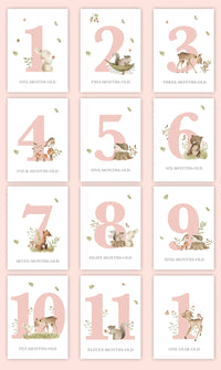 Baby Bundles: Beyond Measure #1 (Take Home Box) - Newborn Girl - Include 5 YR Memory Book - The Palm Beach Baby