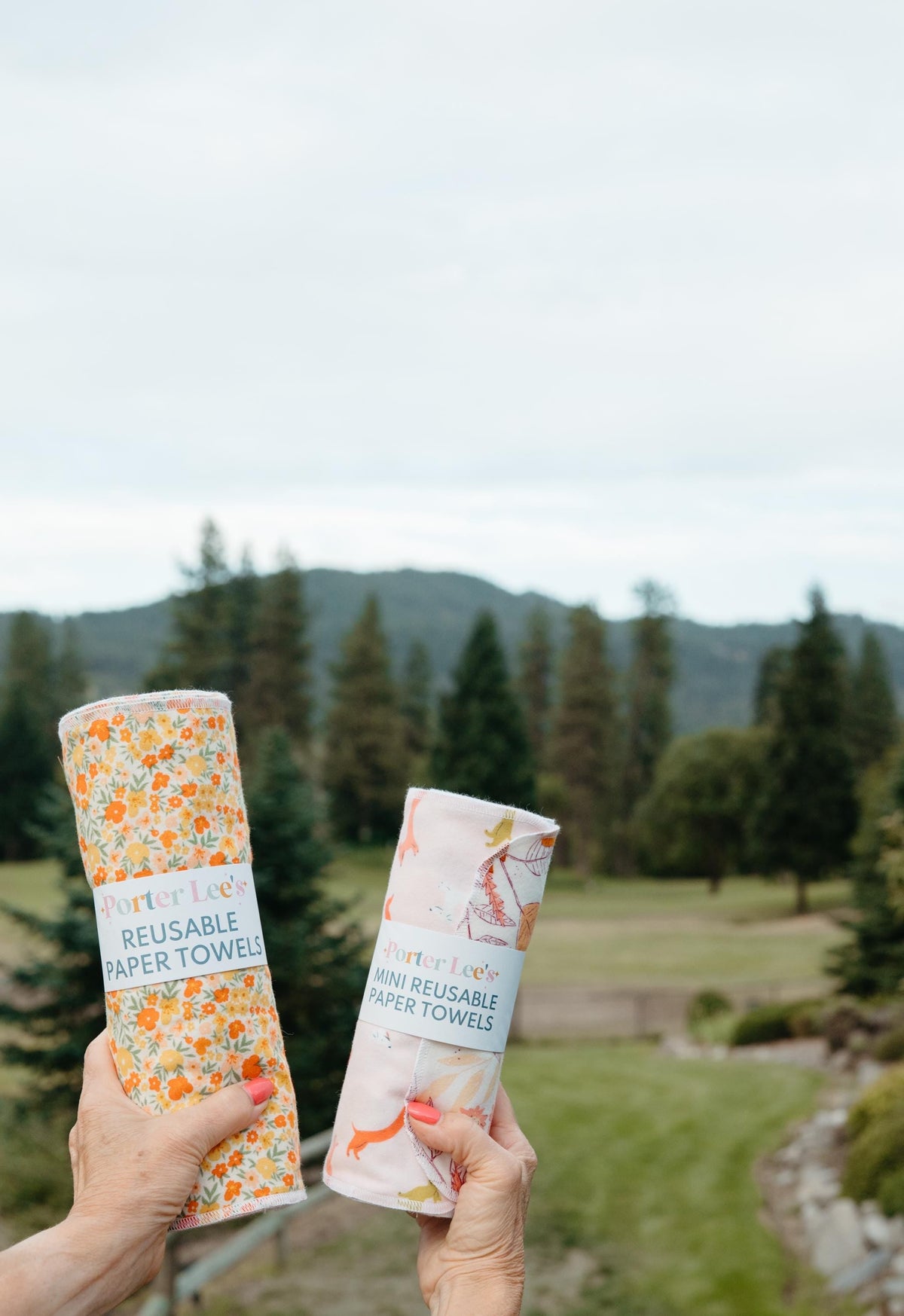 Reusable Paper Towels--Friendly Fox