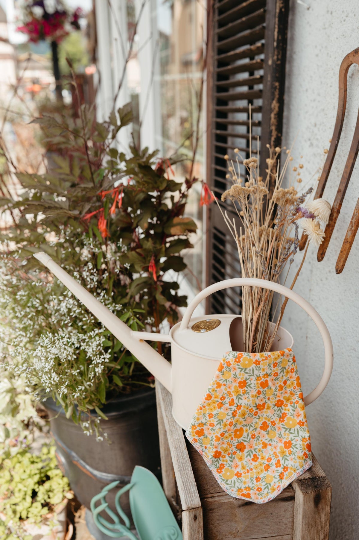 Reusable Paper Towels--Friendly Fox