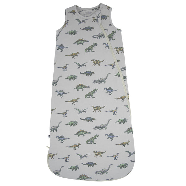 Baby sleeping bag with dinosaur pattern on a white background