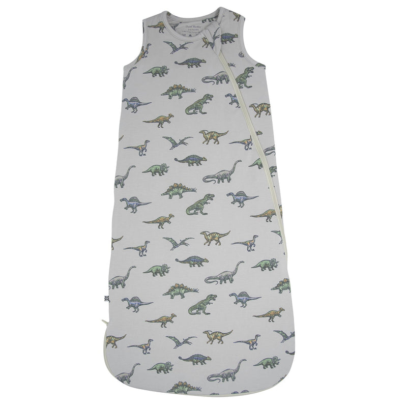Baby sleeping bag with dinosaur pattern on a white background