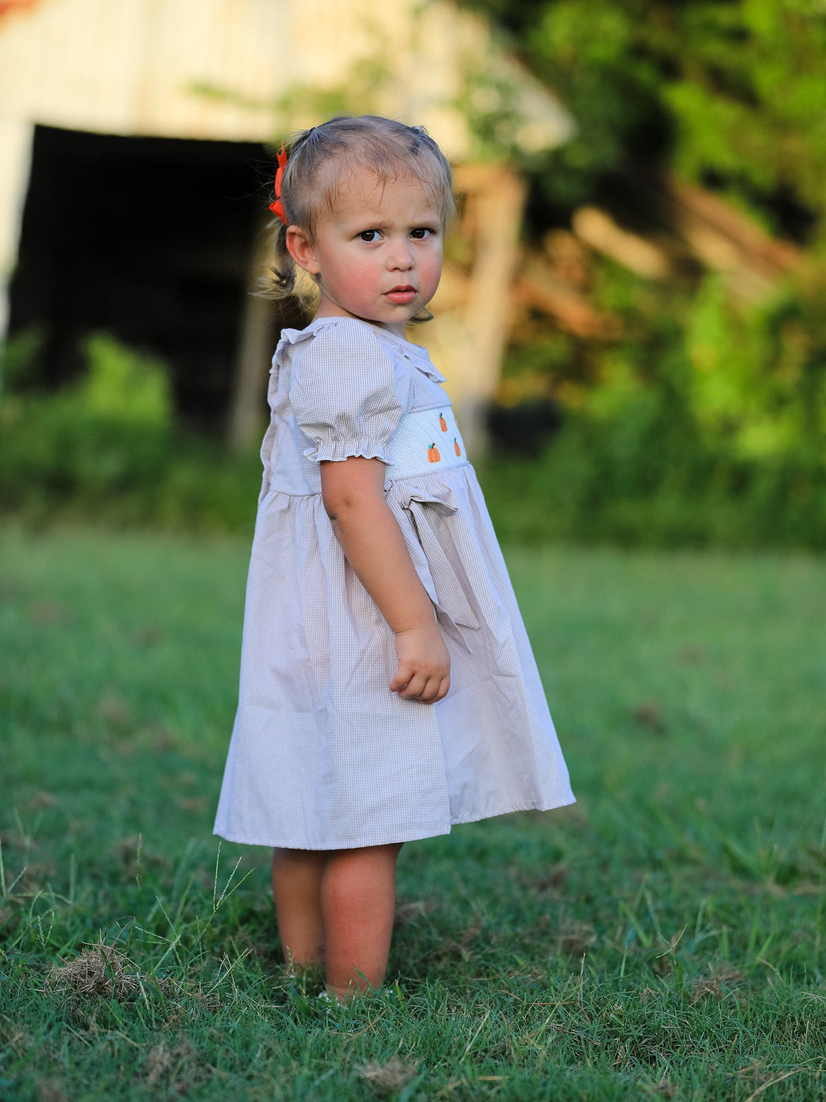 Fall Thanksgiving Pumpkin Embroidery Smock Plaid Girls Dress worn by a young girl outdoors.