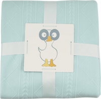 Full size mint knit throw blanket for newborns with textured diamond and cable knit pattern