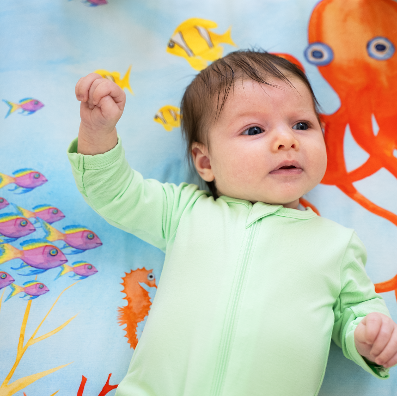 Nestig Mini Crib Compatible: Ocean Crib Sheet