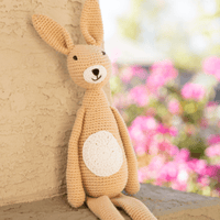Nino the Bunny