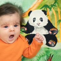 Great Cuddle of Pandas fitted crib sheet
