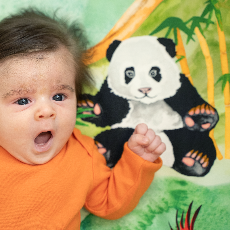 Great Cuddle of Pandas fitted crib sheet