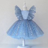 Girls light blue special occasion dress with lace and glittery tulle, toddler size