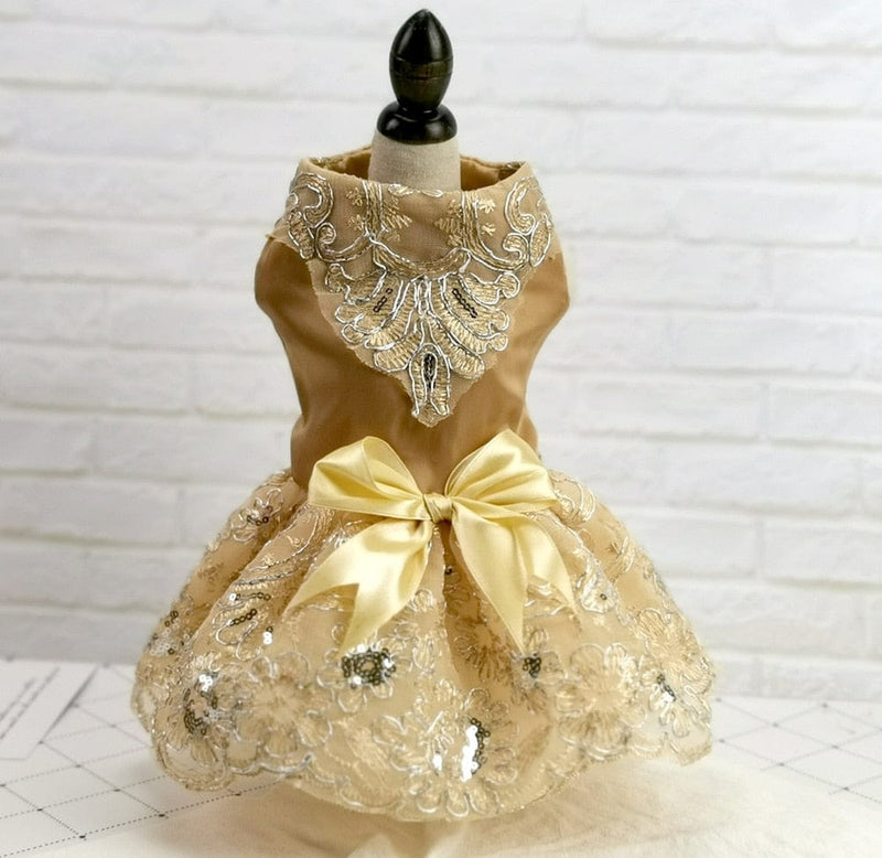 pet clothes champagne / XS "Sophia" Pet Special Occasion Dress -The Palm Beach Baby