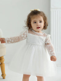 White lace occasion dress for little girls, toddler size with sheer long sleeves and floral embroidery