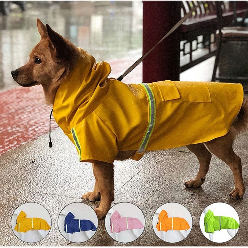 pet raincoat "Raining Cats and Dogs" Reflective Pet Raincoat -The Palm Beach Baby