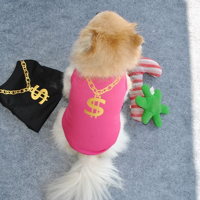 Pet Clothing ROSE / XS DIVA Pet - Chic "Dollar Baby" Pet Shirt -The Palm Beach Baby
