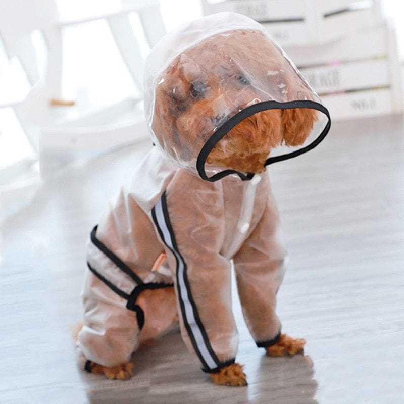 pet clothes "Rainy Daze" Waterproof Pet Raincoat -The Palm Beach Baby